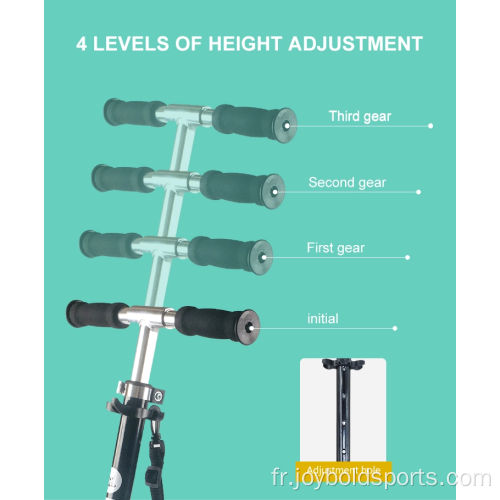 Trottinette à double amortissement